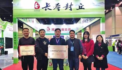 河南2020年gdp十强县_河南地图(3)