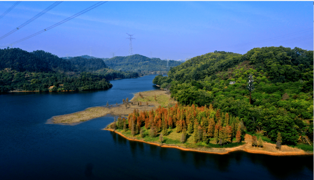 色彩缤纷!黄江湿地公园有眉目了