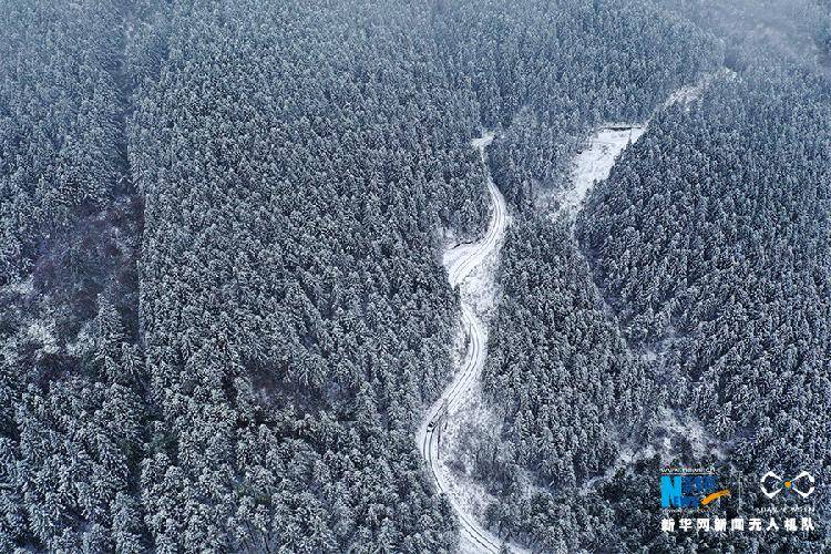 赏雪啦！这儿的山山岭岭银装素裹