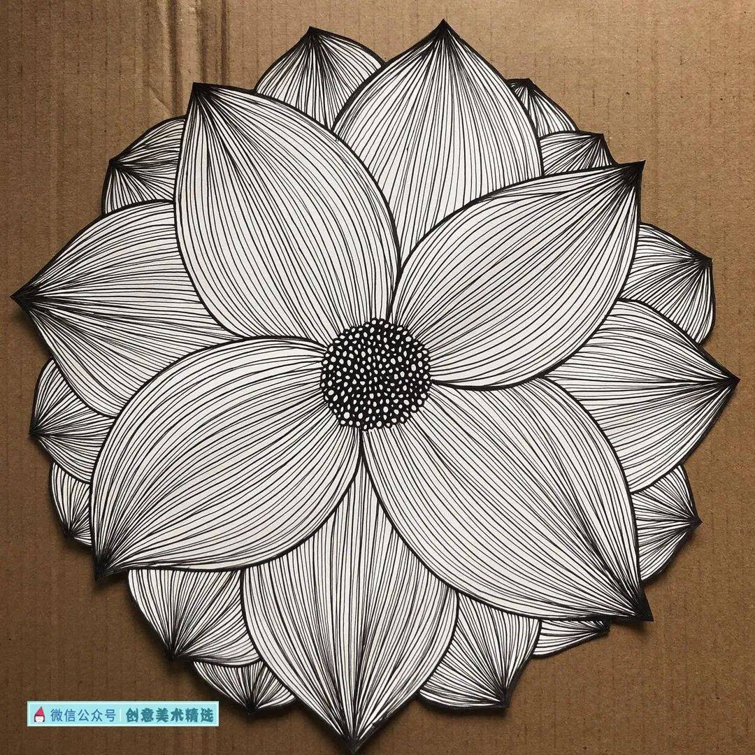 线描的表现力14张层次丰富的花卉主题黑白装饰画