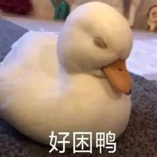 【科普生活】究竟怎样才能早起不困啊!