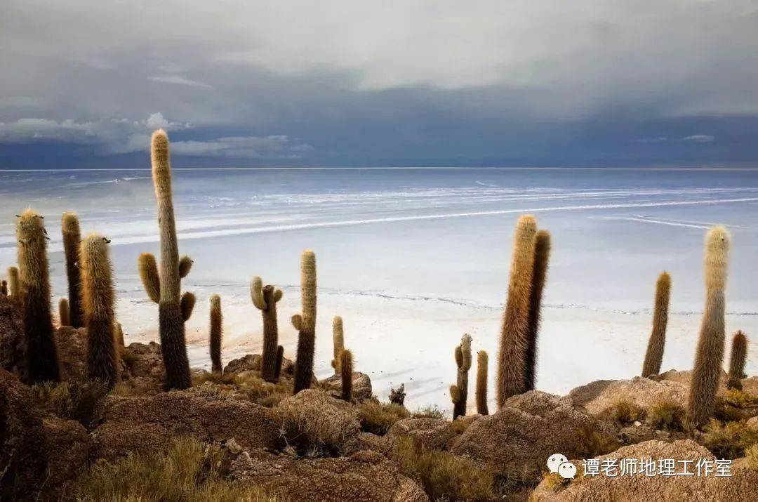 厄尔尼诺会减弱秘鲁寒流对海岸的控制,从而为沙漠地区带来更多的降水
