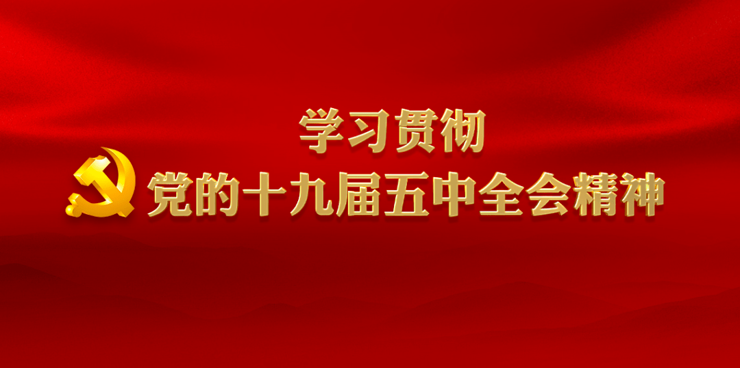 十九届五中全会人口