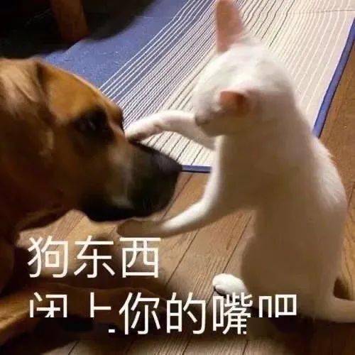 371b34276e914fc8b2b8e1e294e64021.jpeg