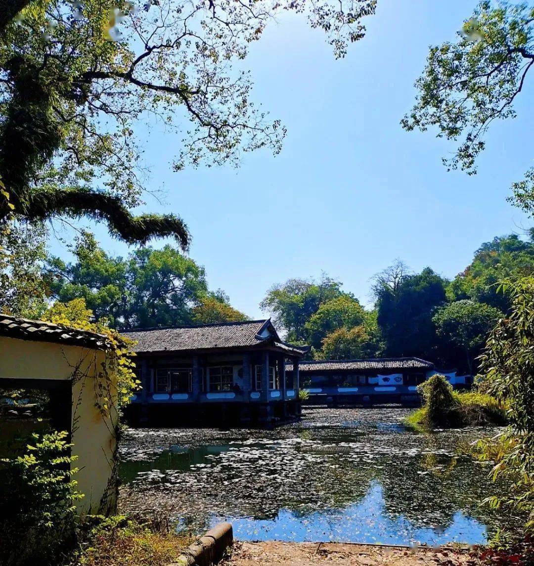 冬季的雁山园 风景似春华