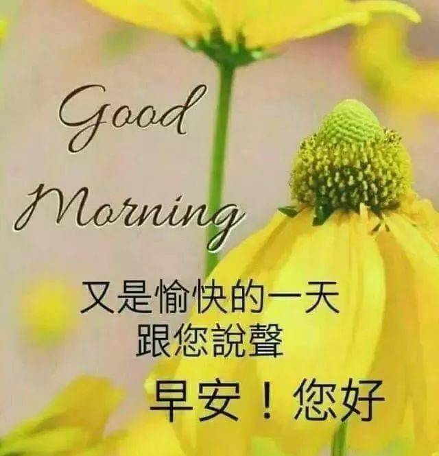 怎么才可以让自己快乐起来 bfe38536d8be443ba0bb8f8d377a950c.jpeg