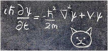 量子|AI学会解薛定谔方程了！精度和速度不逊色最流行的数学工具