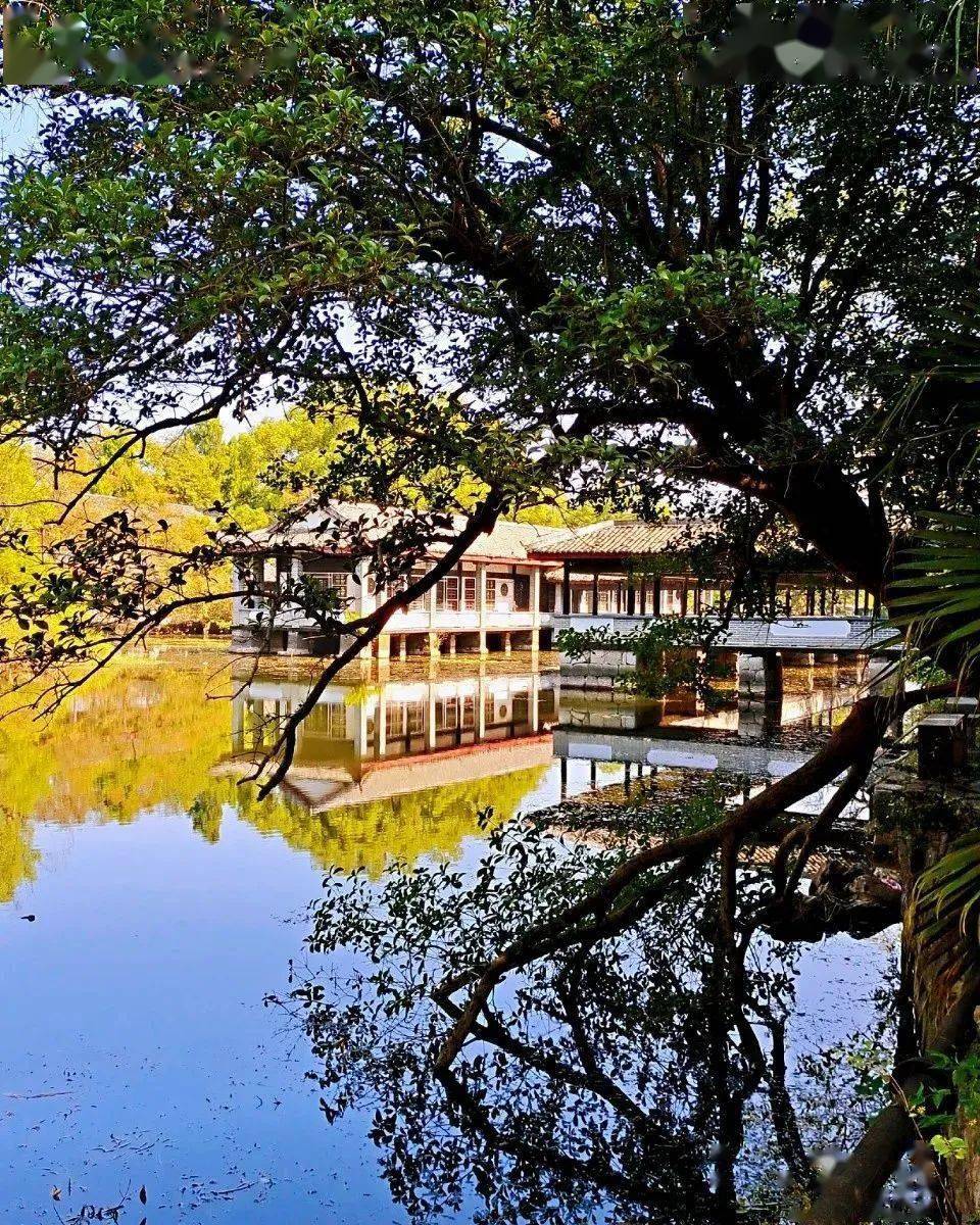 冬季的雁山园 风景似春华