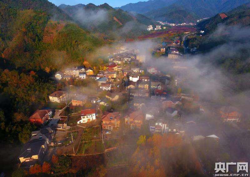 【走向我们的小康生活——看精彩杭州样板】绿水青山生态村，诗情画意月亮乡