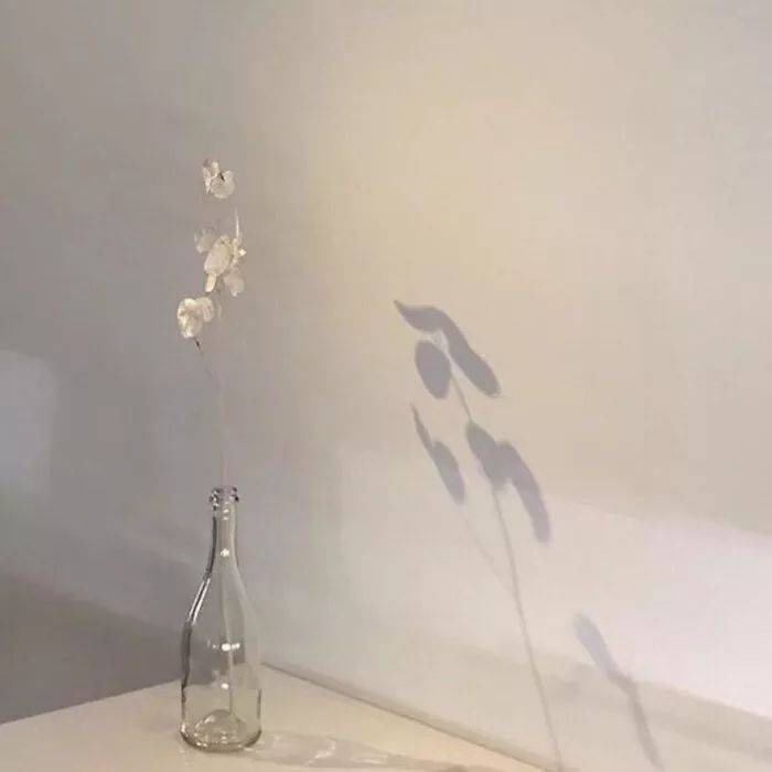 小众冷淡风の背景图
