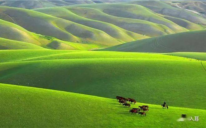 一曲《等你回草原》,唱出草原儿女深深的眷恋!