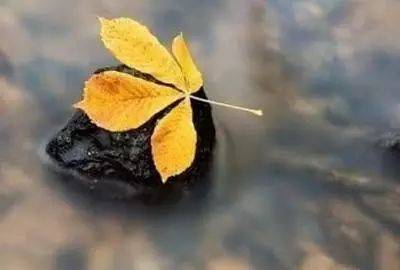 心眼小的人,天地大不了
