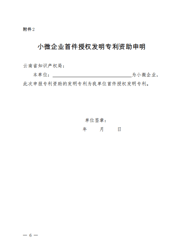 小微企业首件授权发明专利资助的申明(模板) 3.