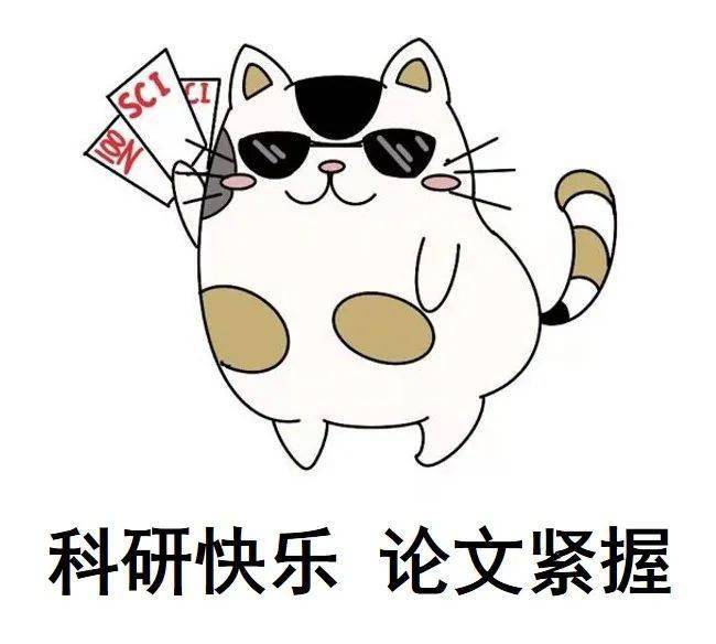 重大版猫咪表情包大公开!