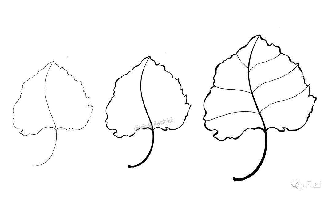 9款叶子黑白线描画,新手收藏!