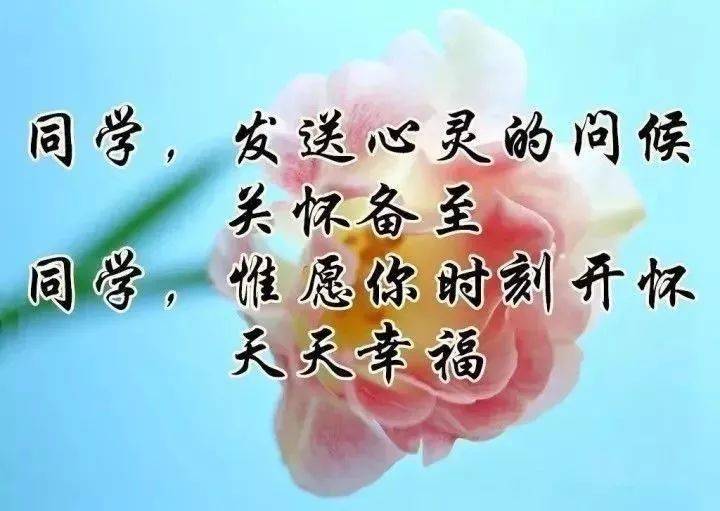 关心老同学早上好带字图片,每天的问候载着惦念祝福