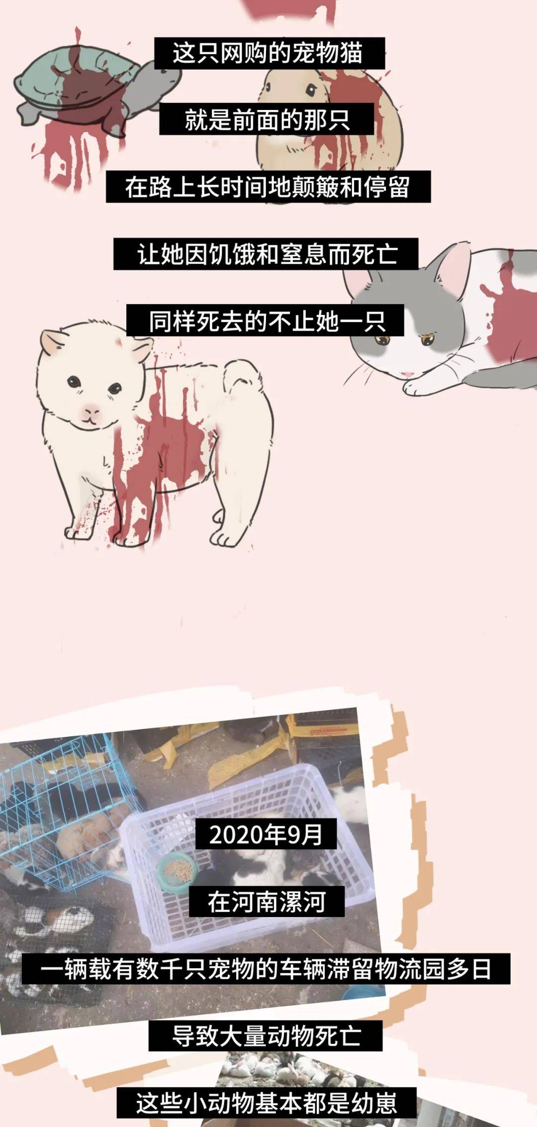 快救人口_人口普查图片