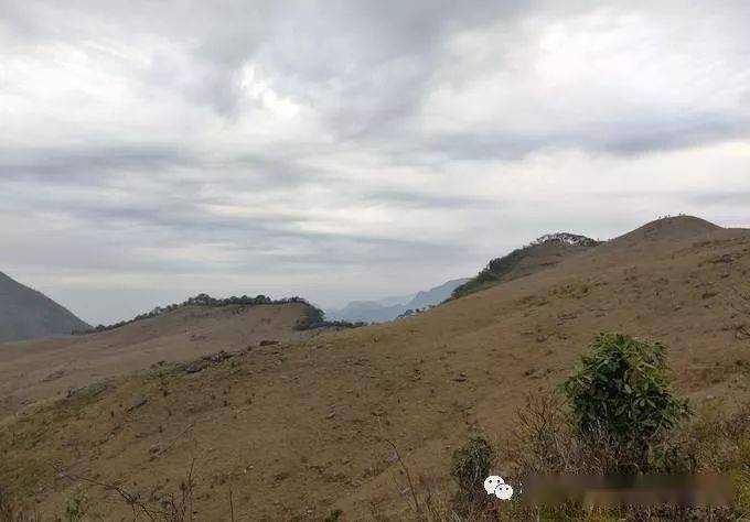 妙峰山徒步多久到顶 a97825bf40cd4d91a7172f8c14399ebf.jpeg