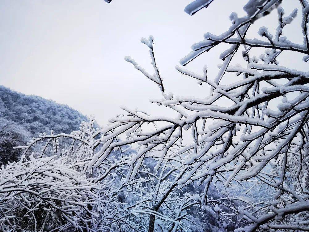 冬季到南岳来看雪后美景!_雪景