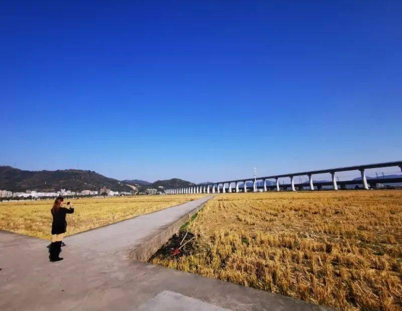 乐清市人口有多少2021