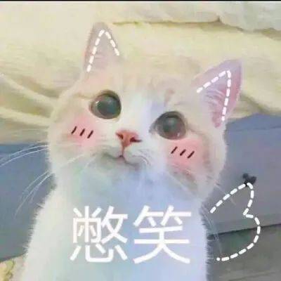 猫咪表情图片代表的意思 b8c3062f58a943bd95af599c72276e42.jpeg