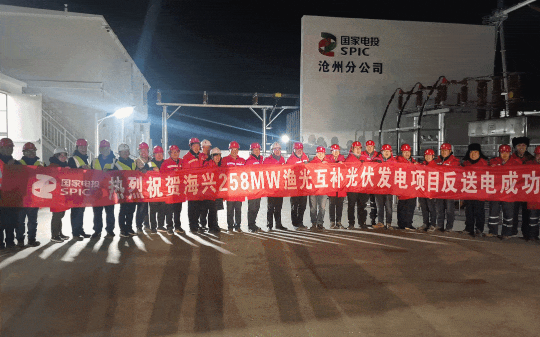 这是公司首个  水上高桩平台变电站,181根长30米的预制桩一头扎进水底