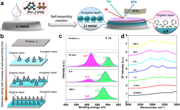 技术前沿│抑制锂枝晶形成 苏州纳米所高性能锂金属电池研究获进展