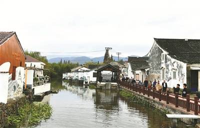 从点到线处处景河姆渡镇亮出“茭美古渡”美丽乡村示范线