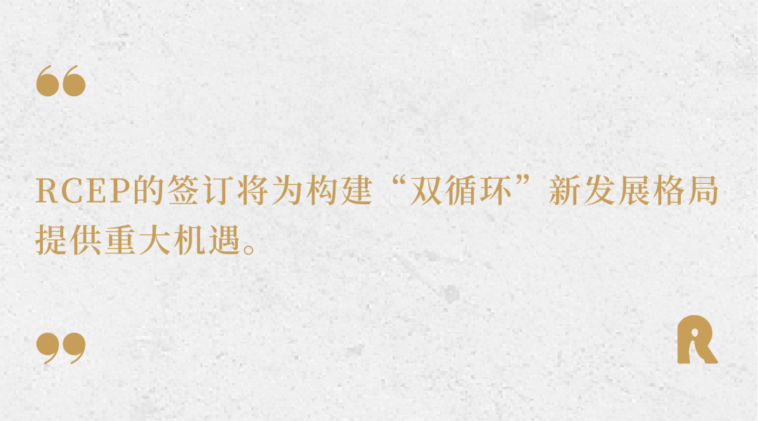 张明陈:抓住机遇塑造发展新格局