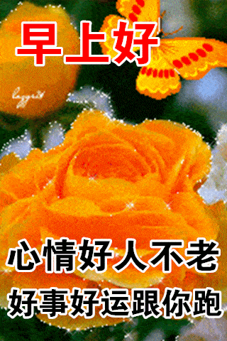 11月28日早上好图片,11月早上好图片大全 12月28日最漂亮早上好动态表情图片大全,早晨好动图美图大全
