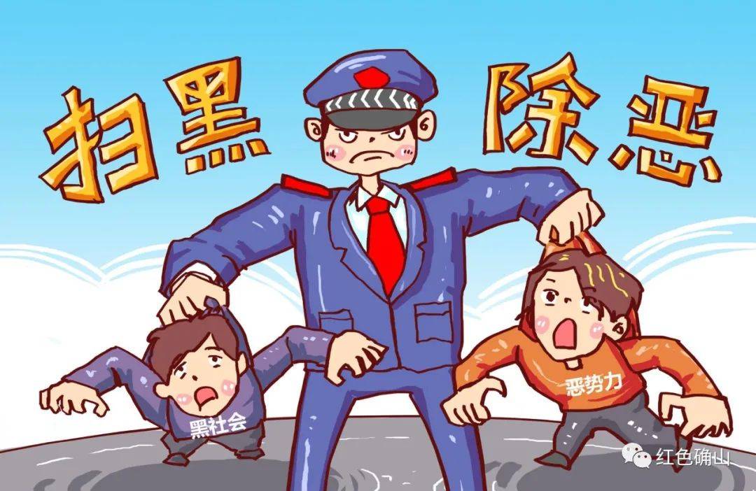 【决胜扫黑除恶收官年】收官年,确山这一恶势力被打掉