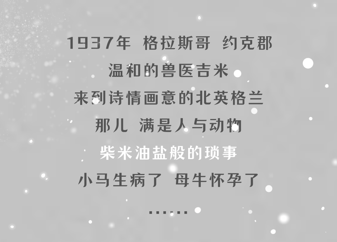 一夜风雨简谱_阳光总在风雨后简谱(2)