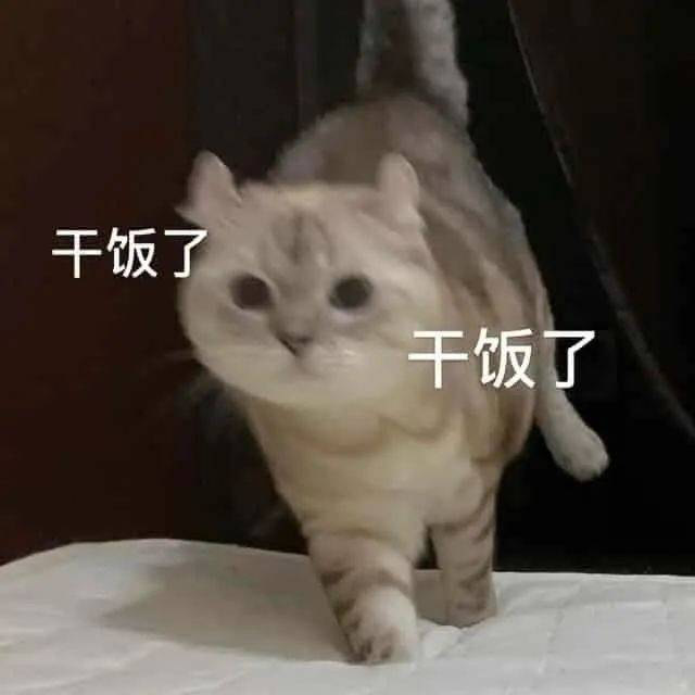 096d25491cc64bfc8e4aa50060999073.jpeg