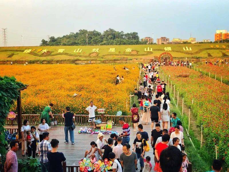 外来人口 镇_诸暨外来人口分布图(2)
