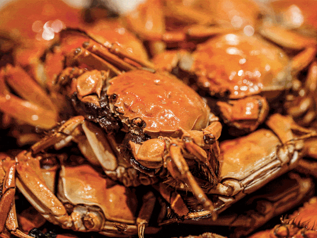 上海| 想吃烤肉,火锅还是自助海鲜?这些美食推荐全都有
