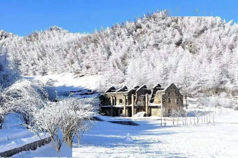 奉节这个绝美的冰天雪地,欢乐多多!