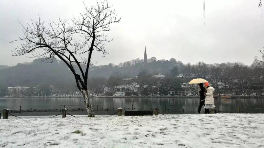 下雪后的杭州西湖,真的美哭了