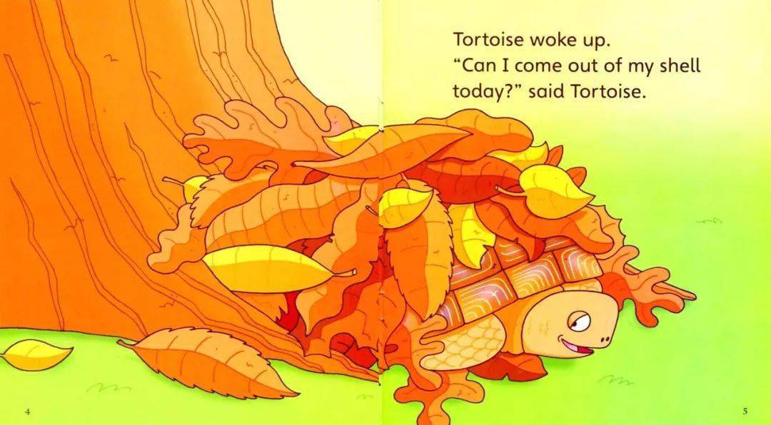 【有声绘本】tortoise!tortois!乌龟!乌龟!