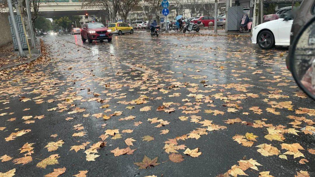"王炸"级寒潮来袭,局部地区将达零下7℃!有一群人悄悄出动了