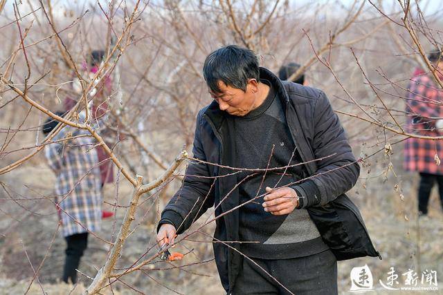 卢集镇gdp_尤集镇解圩小学生图片(3)