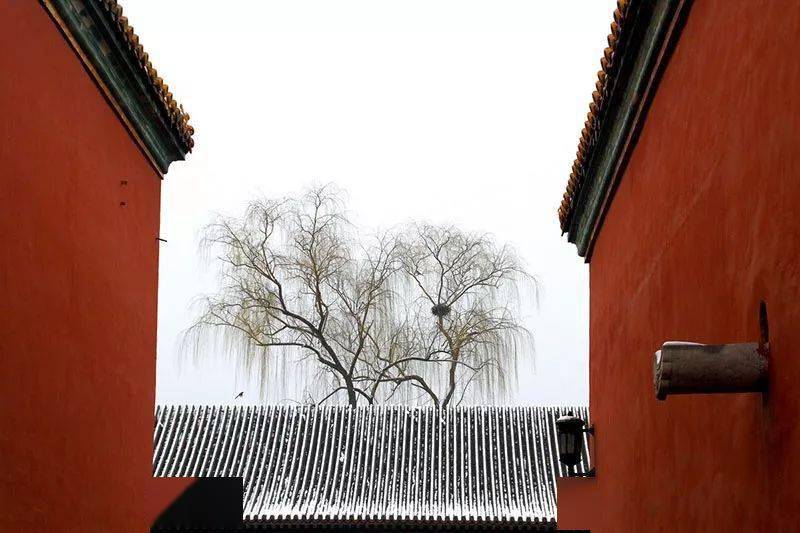 而故宫,这座明清两朝的皇宫, 无疑是冬天北京城最耀眼的风景.