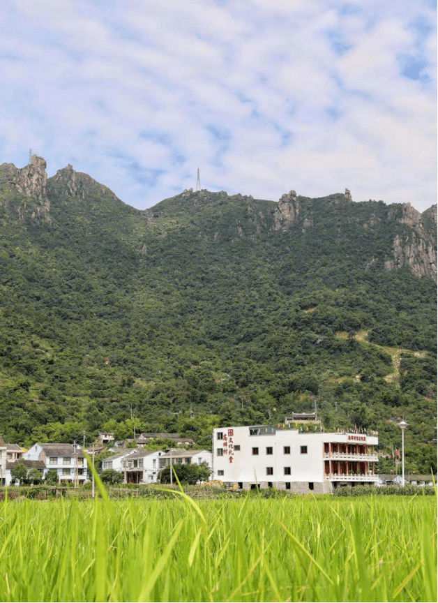 鳌江农村人口_农村房子图片