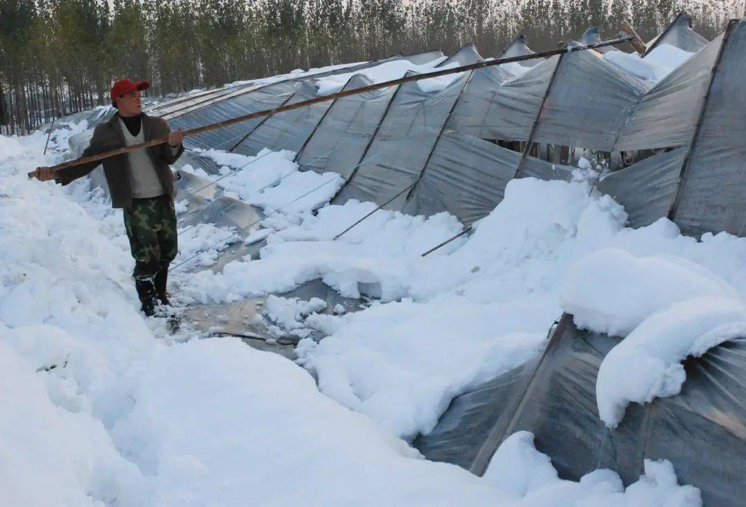 这几款大棚除雪"神器,刷爆了朋友圈

