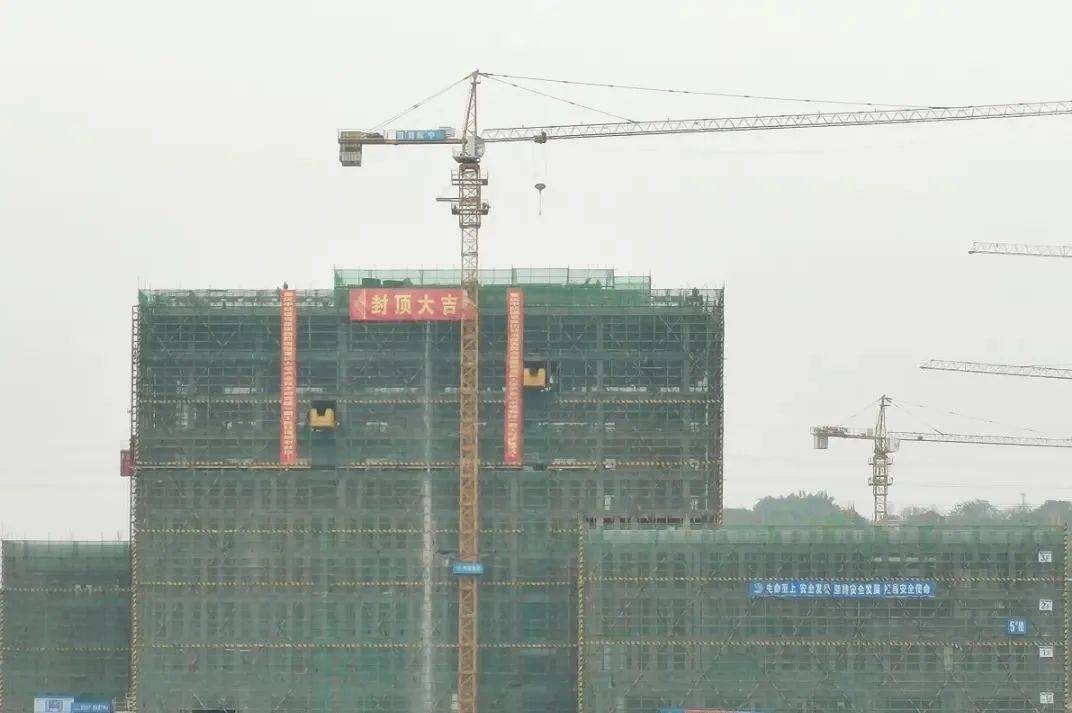 江津区2021年gdp_江津区(3)