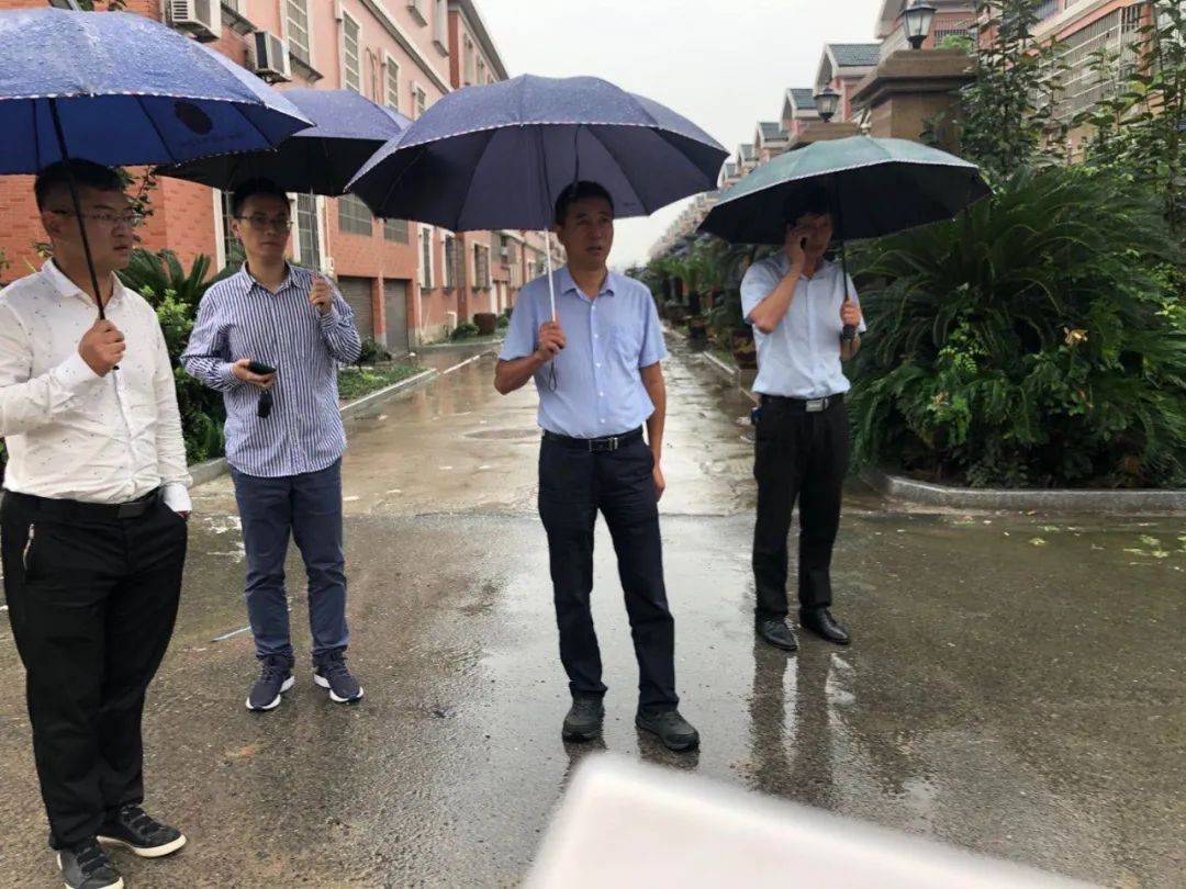 【美丽家园·美好生活】新街街道元沙村:淡妆浓抹"绘"庭院,美丽家园入