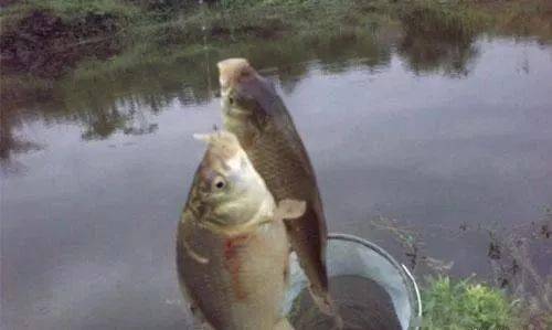 a4ac1a3726b0488c9d8ae87324b59639.jpeg