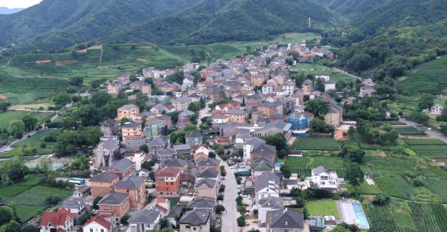 跟着村子奔小康有村民靠租房和茶叶年收入近百万2011年,上城埭村修建