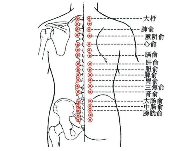 【养生】后背有两条生命线,艾灸养背就是养命!经络畅通,百病消退