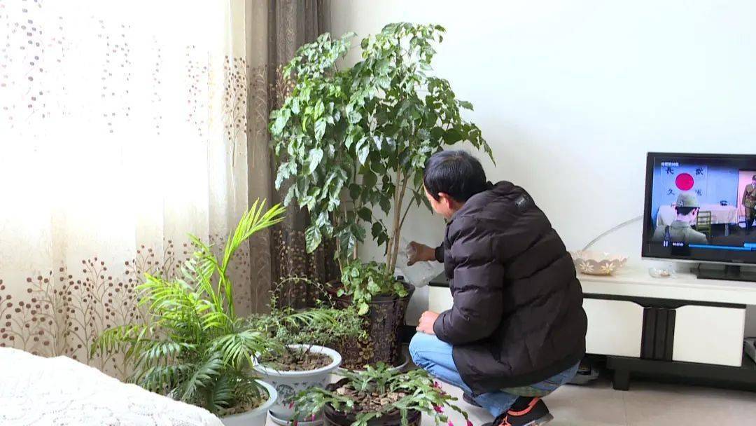 龙朋镇总人口_朱一龙镇魂图片