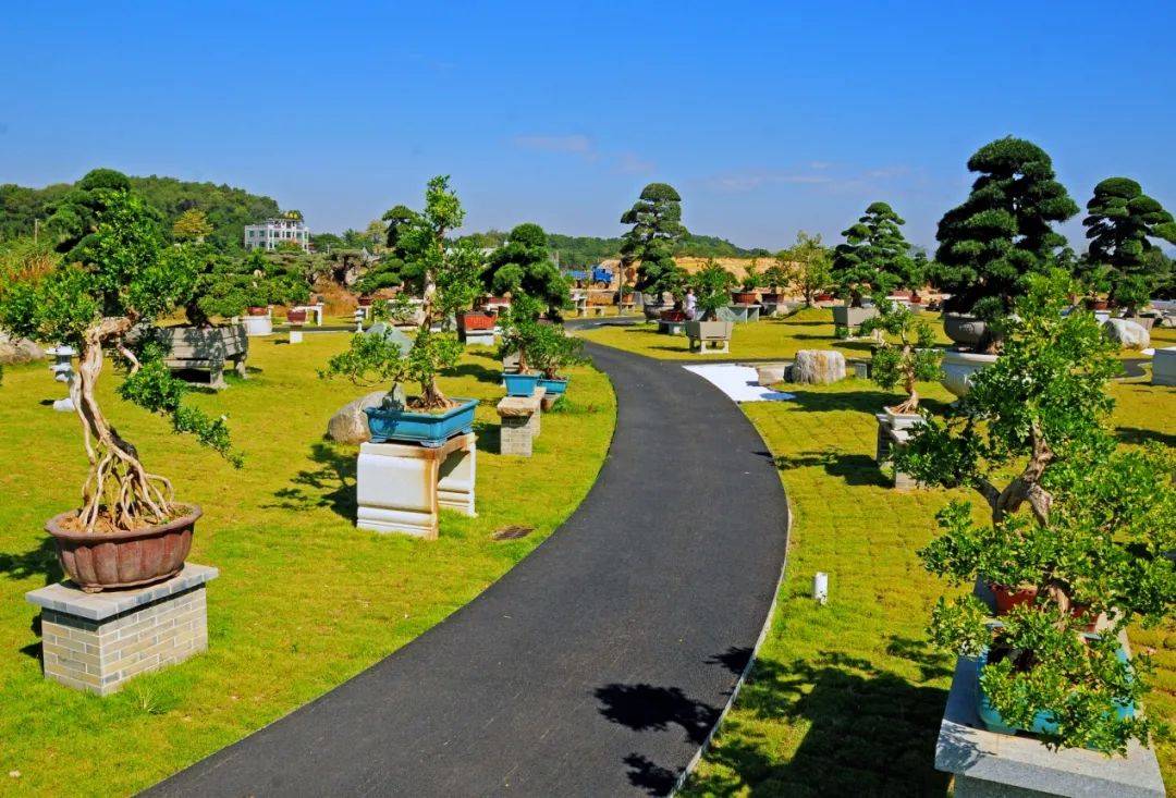 迷人的花之都——花都区元旦春节旅游打卡攻略